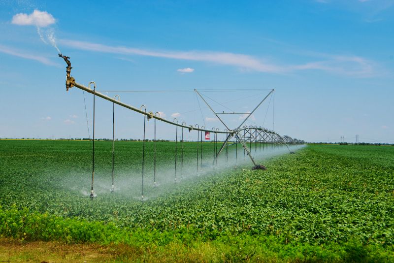 Commercial Irrigation Service in Aiken, SC