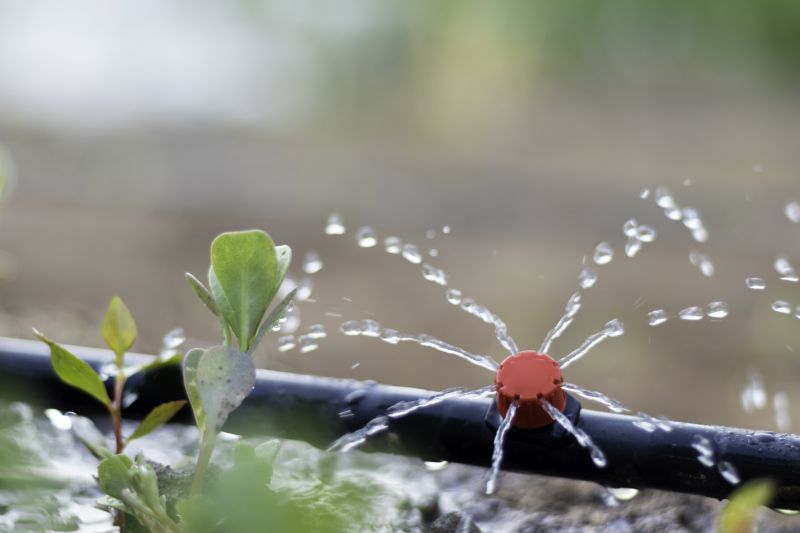 Drip Irrigation Installation in Honolulu, HI