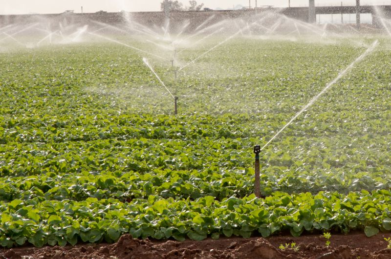 Inground Sprinkler Repair in Ventura County, CA