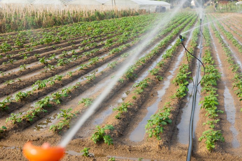 Irrigation Installation in Honolulu, HI