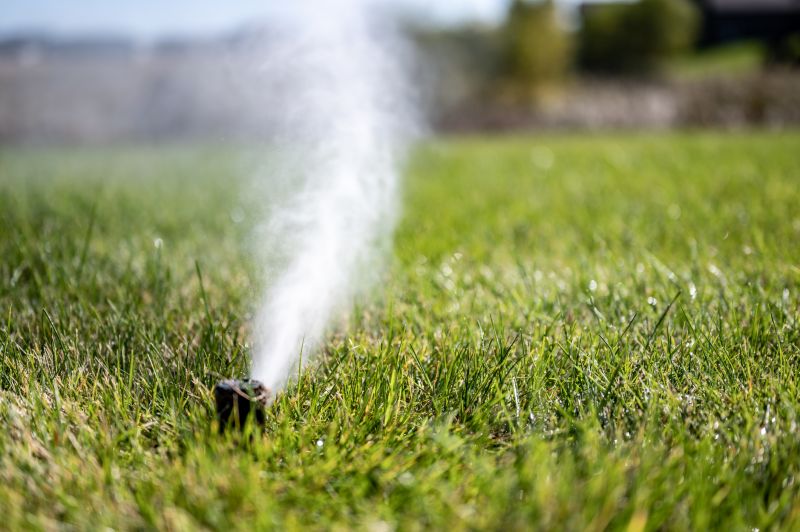Irrigation Winterization in Carson City, NV