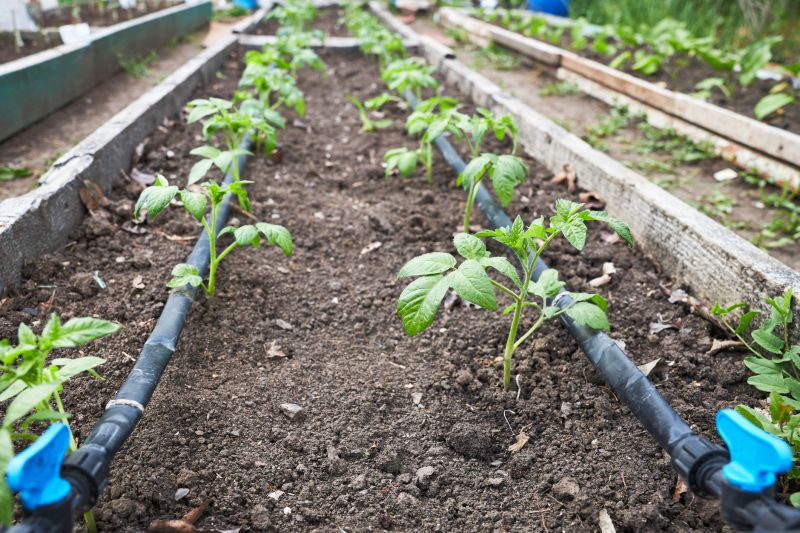 Watering System Installation in Ventura County, CA