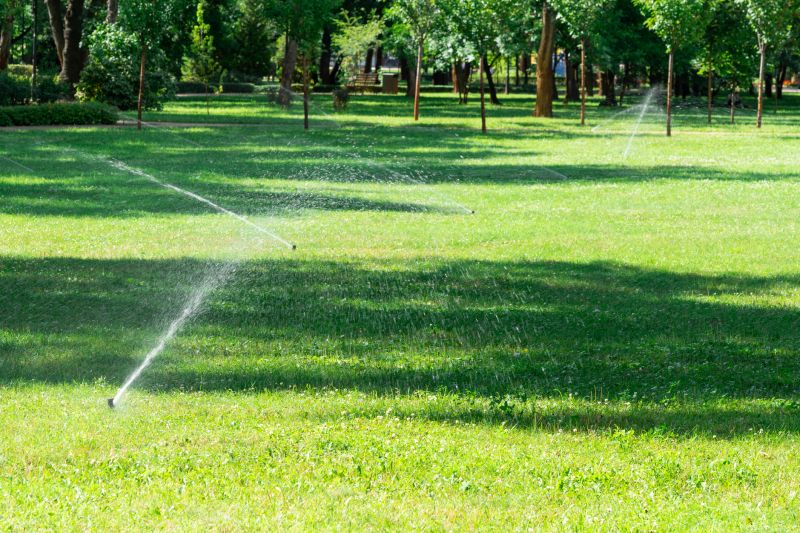 Commercial Irrigation Service in Aiken, SC