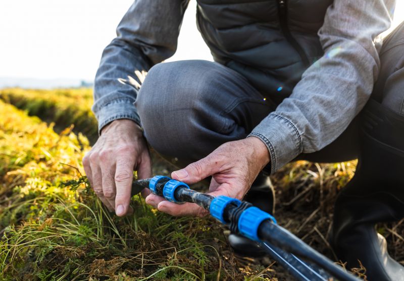 Sprinkler Control Box Repair