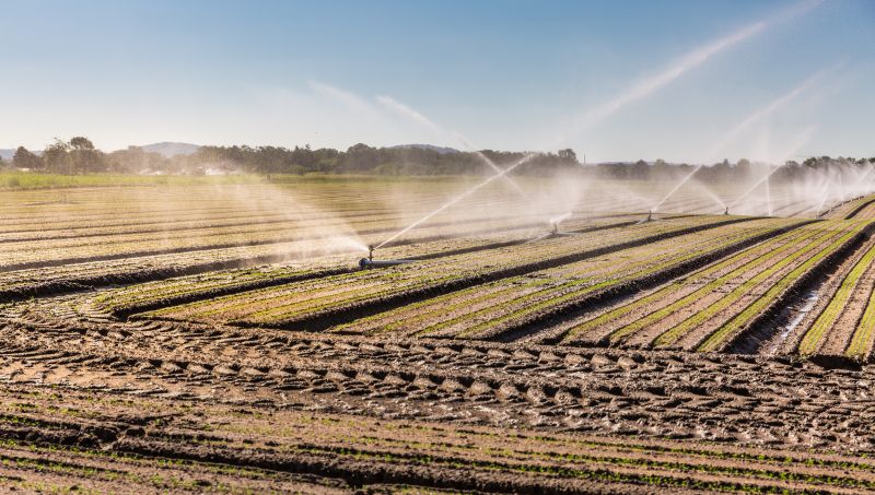 Field Irrigation Installation in Honolulu, HI