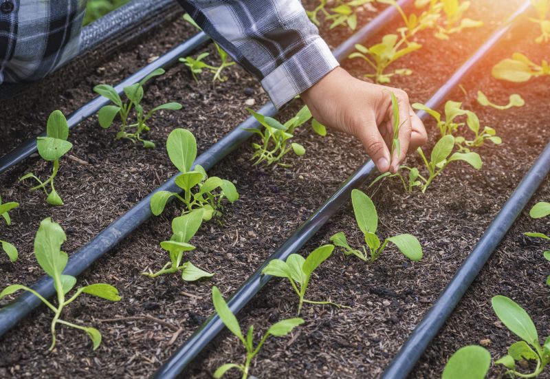 Inground Irrigation Service in Aiken, SC