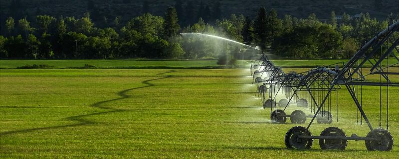 Inground Irrigation Service in Aiken, SC