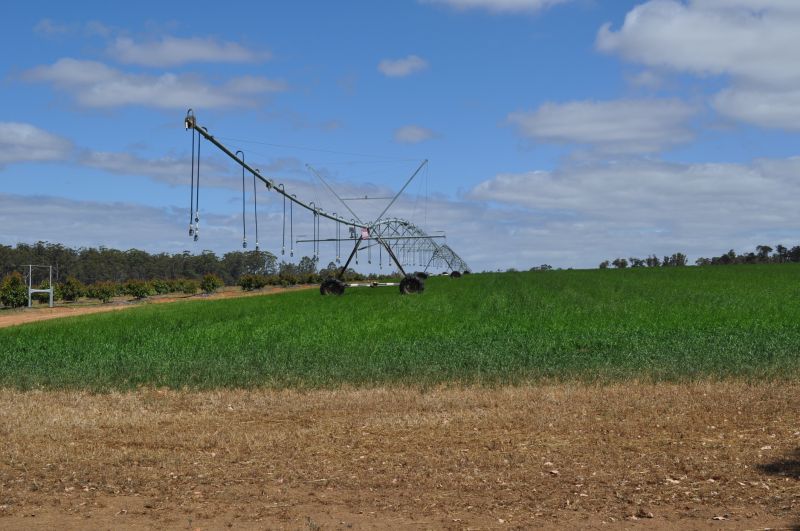 Inground Irrigation Service in Ventura County, CA