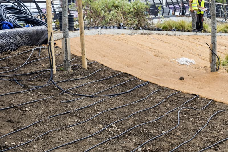 Inground Irrigation Service in Honolulu, HI