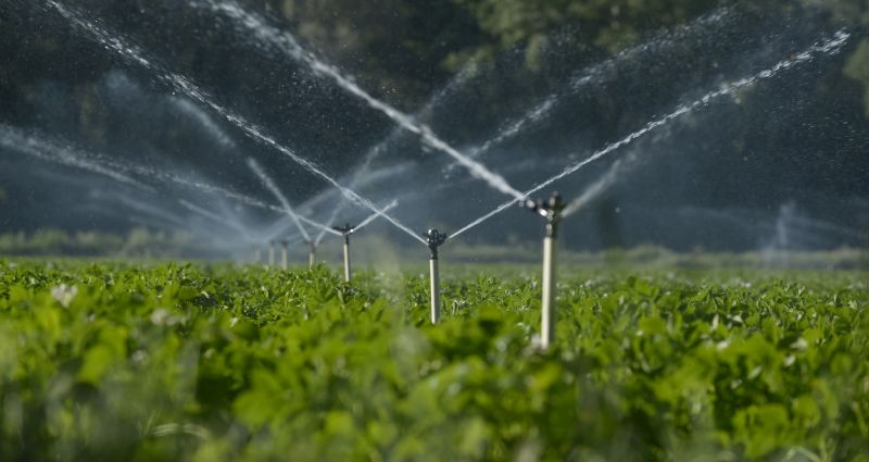Inground Sprinkler Installation in Honolulu, HI