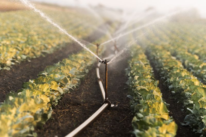 Mist Irrigation Installation in Aiken, SC