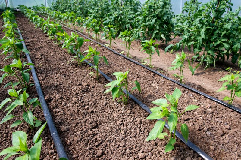 Plant Irrigation Installation in Ventura County, CA