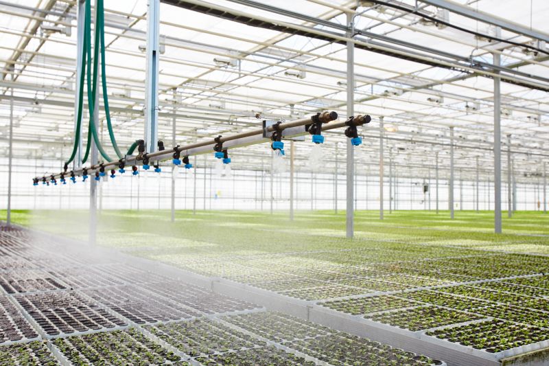 Plant Irrigation Installation in Honolulu, HI