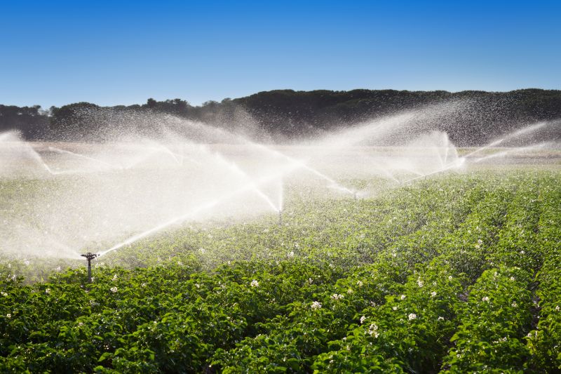 Plant Irrigation Installation in Honolulu, HI