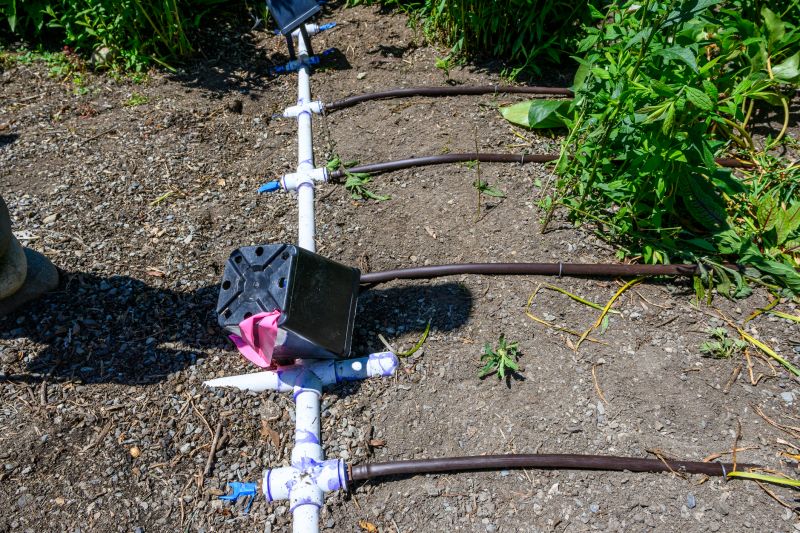 Plant Irrigation Installation in Aiken, SC