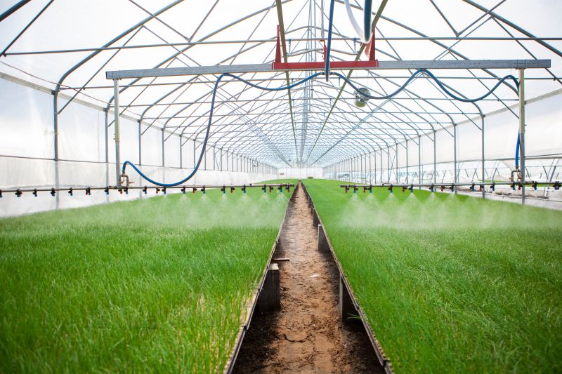 Plant Irrigation Installation in Aiken, SC