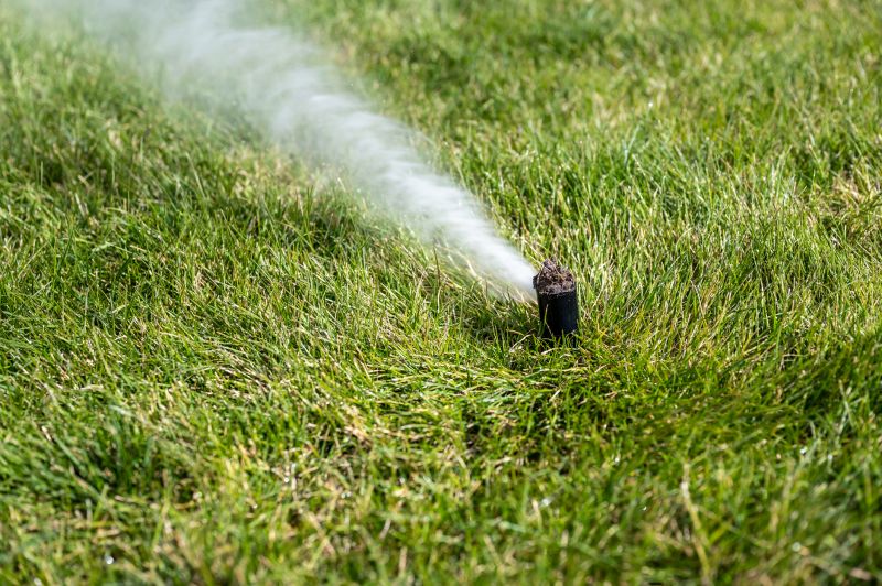 Sprinkler Blowout Service in Reno, NV
