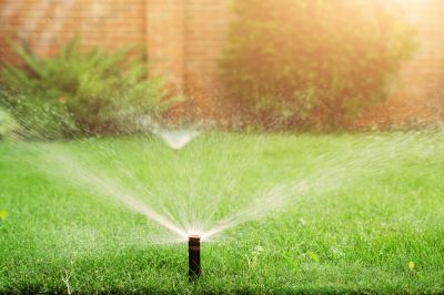 Sprinkler Blowout Service in Carson City, NV