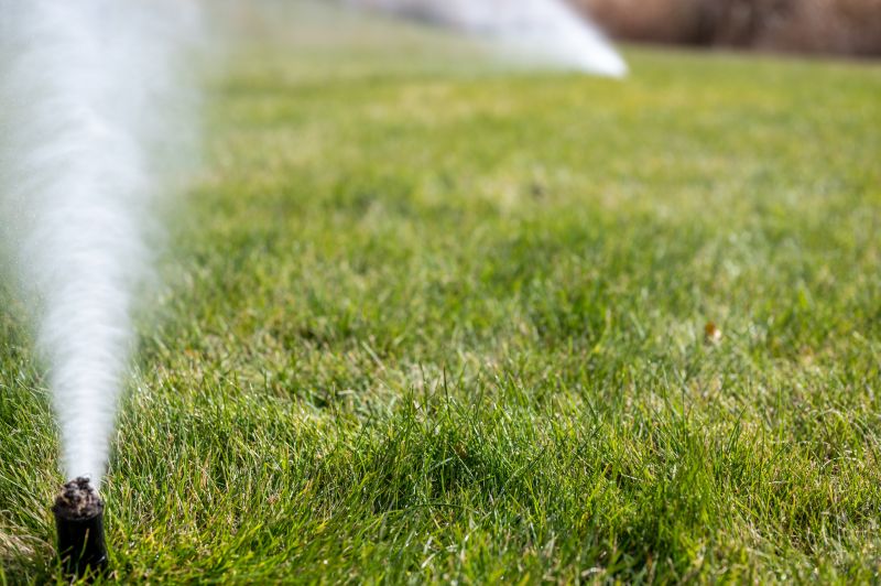 Sprinkler Blowout Service in Carson City, NV