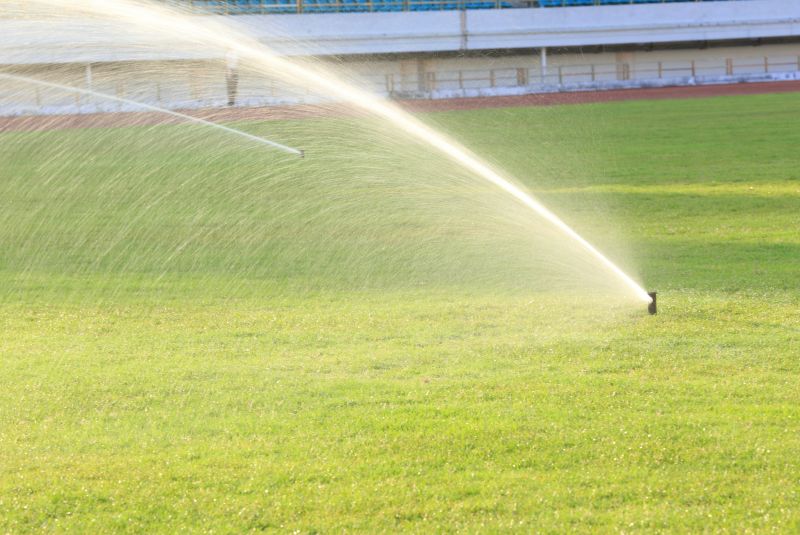 Sprinkler System Relocation in Aiken, SC
