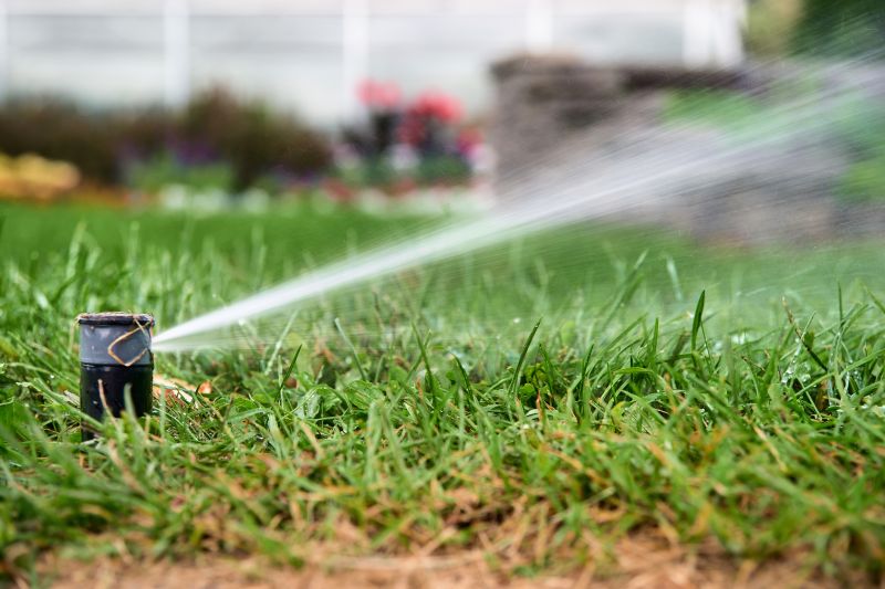 Sprinkler Winterization in Carson City, NV