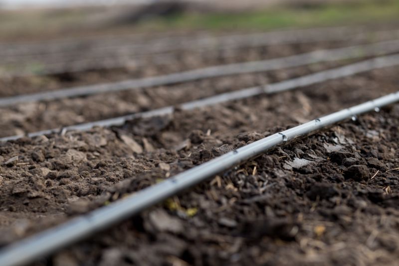 Underground Irrigation Service in Aiken, SC
