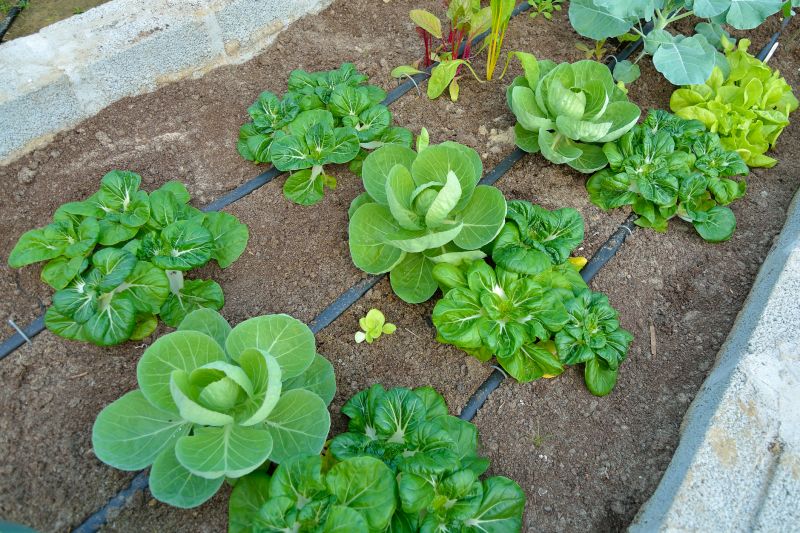 Underground Irrigation Service in Ventura County, CA